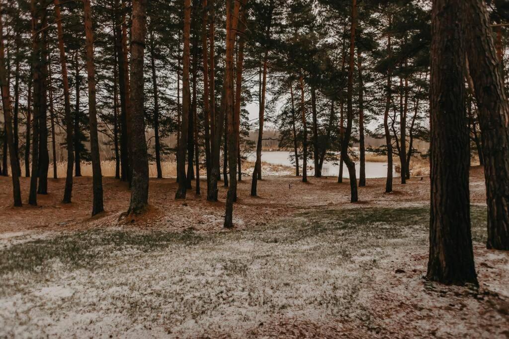 Vila Gaujaupe Gauja  Exteriér fotografie