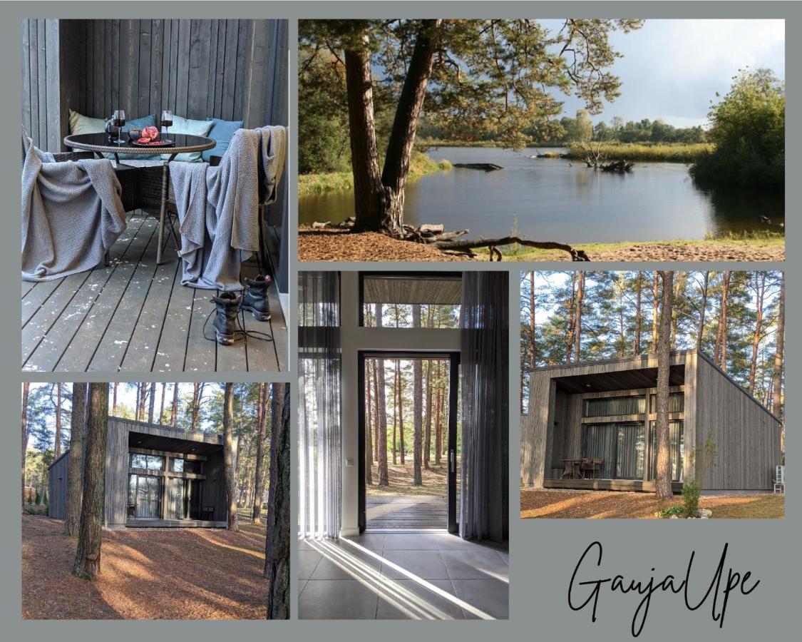 Vila Gaujaupe Gauja  Exteriér fotografie